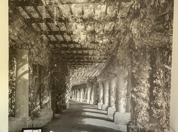 Vultor Вроцлав