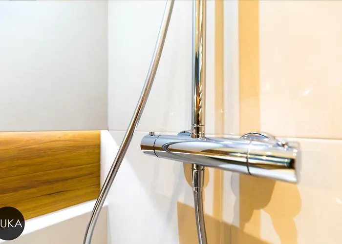 Vultor Daire Wroclaw